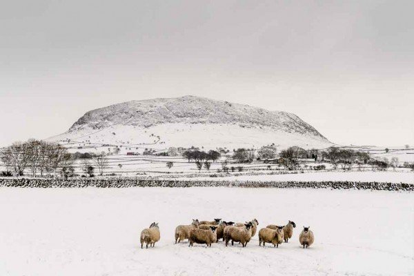 slemish